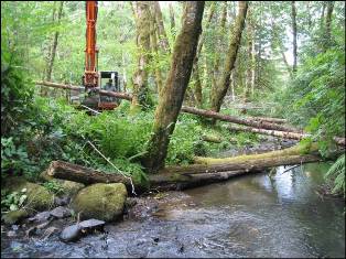 Placing large wood on Ferguson Creek at Holzbauer's