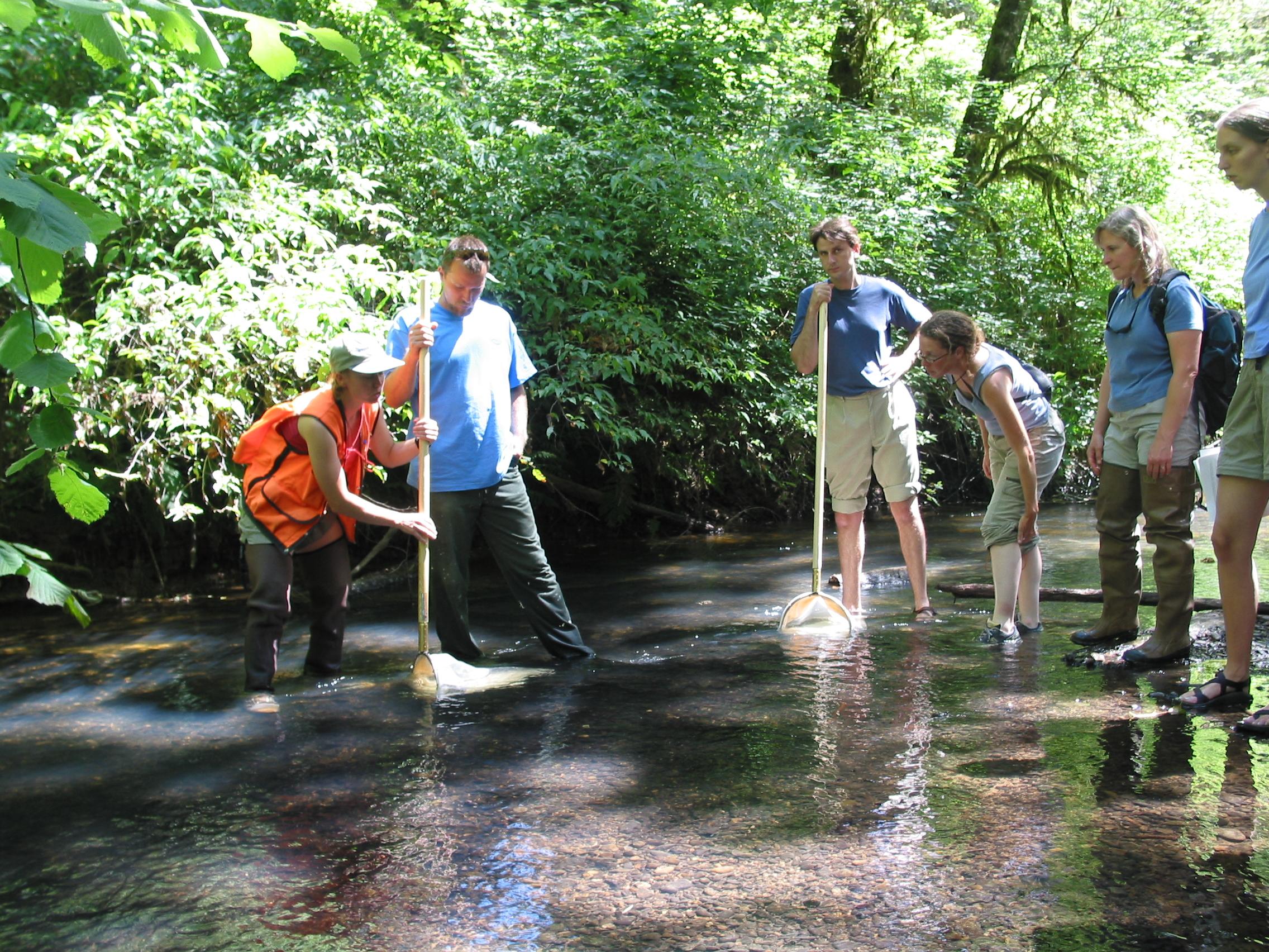 volunteers stream monitoring