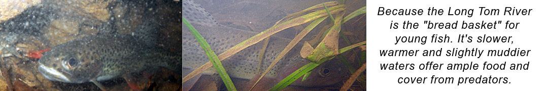 fish habitat resources banner