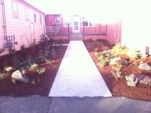 Mulched Swales 2 1-4-12