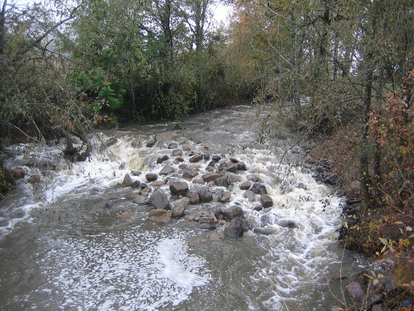 Ferguson Creek at Moffett & Bartlett