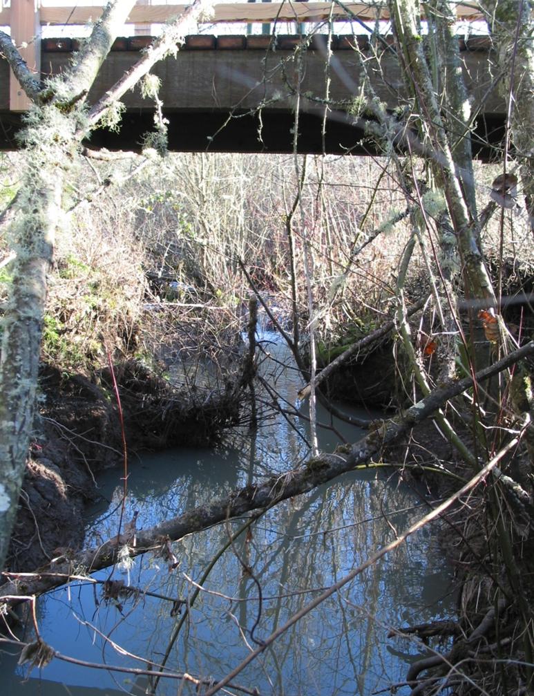 Collay fish passage