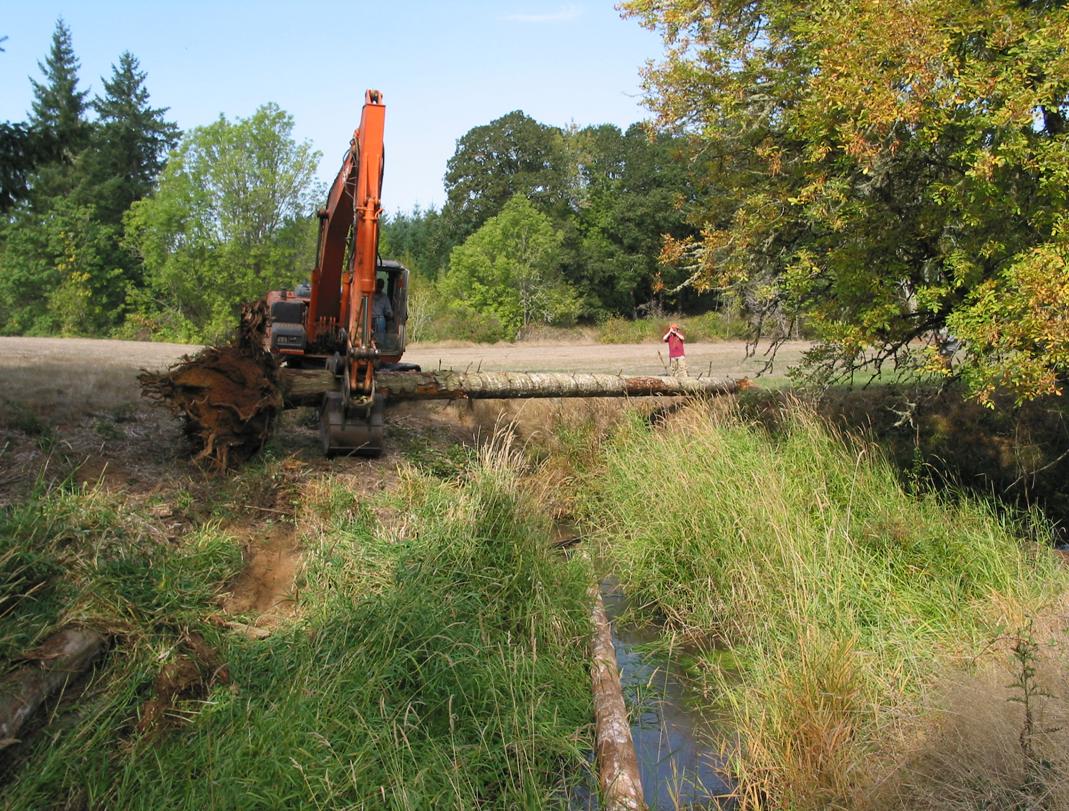 Owens Creek at McFadden