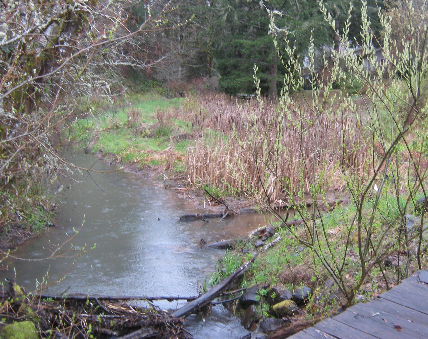 Owens Creek at Turner's