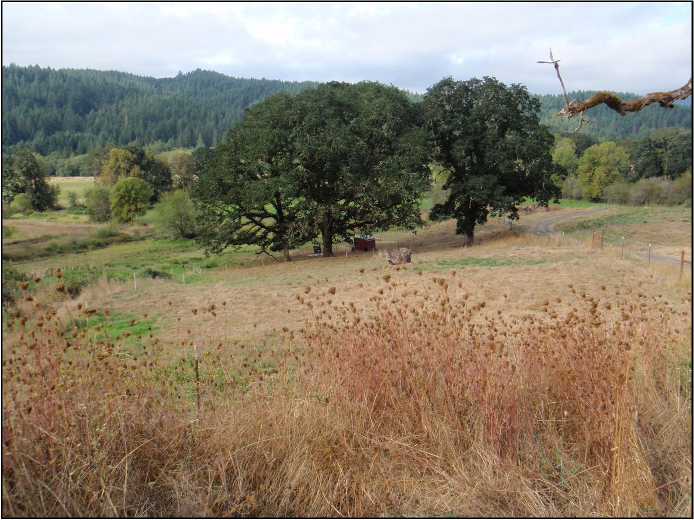 winter green farm