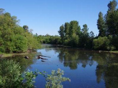 Willamette snagboat bend