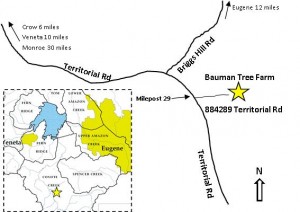 Bauman tree farm map