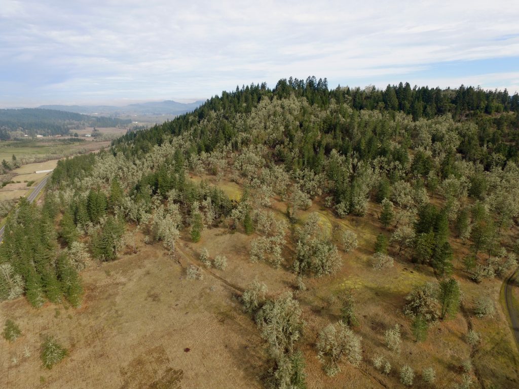 UAV View Andrew Reasoner