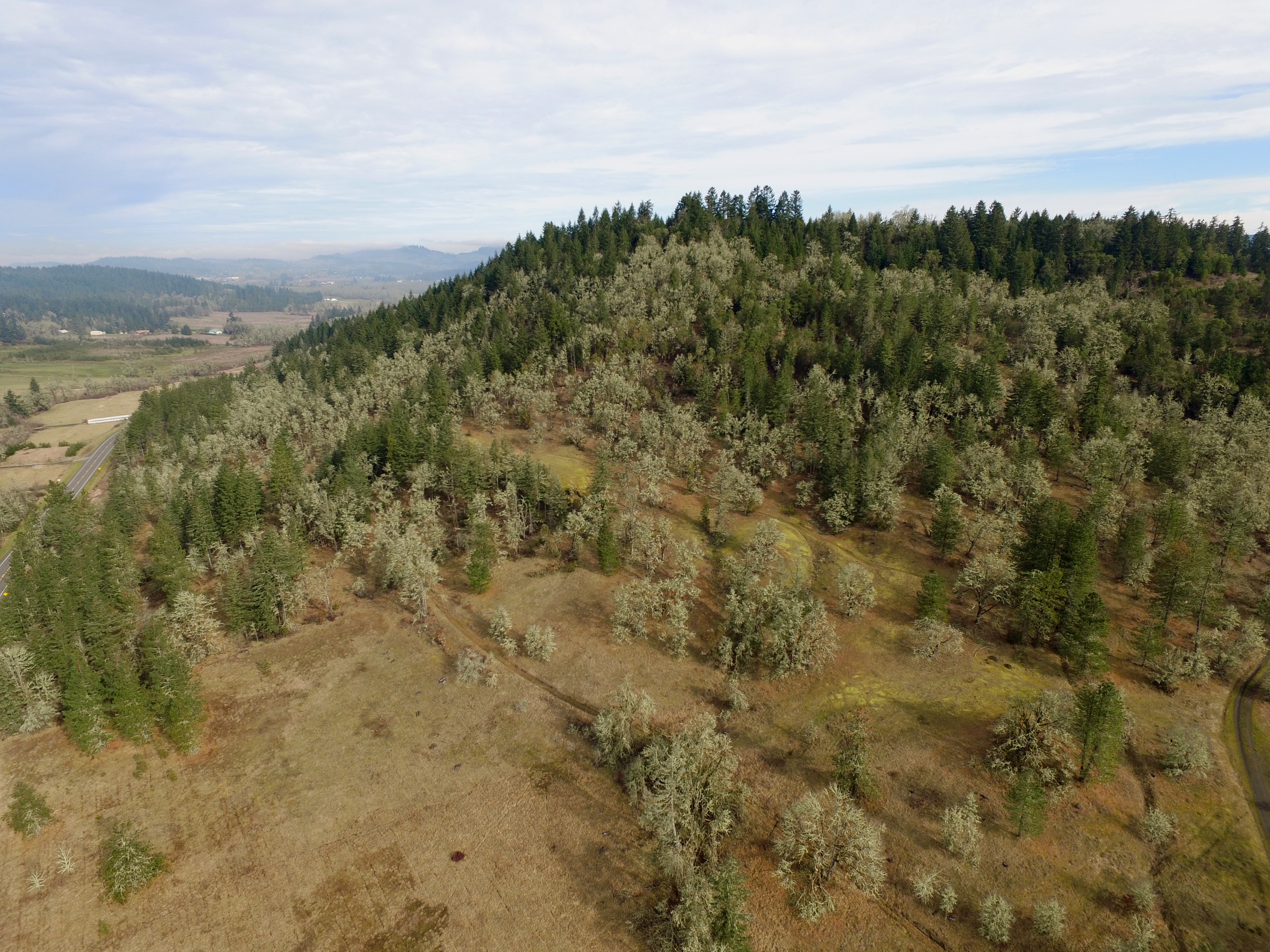 UAV View Andrew Reasoner