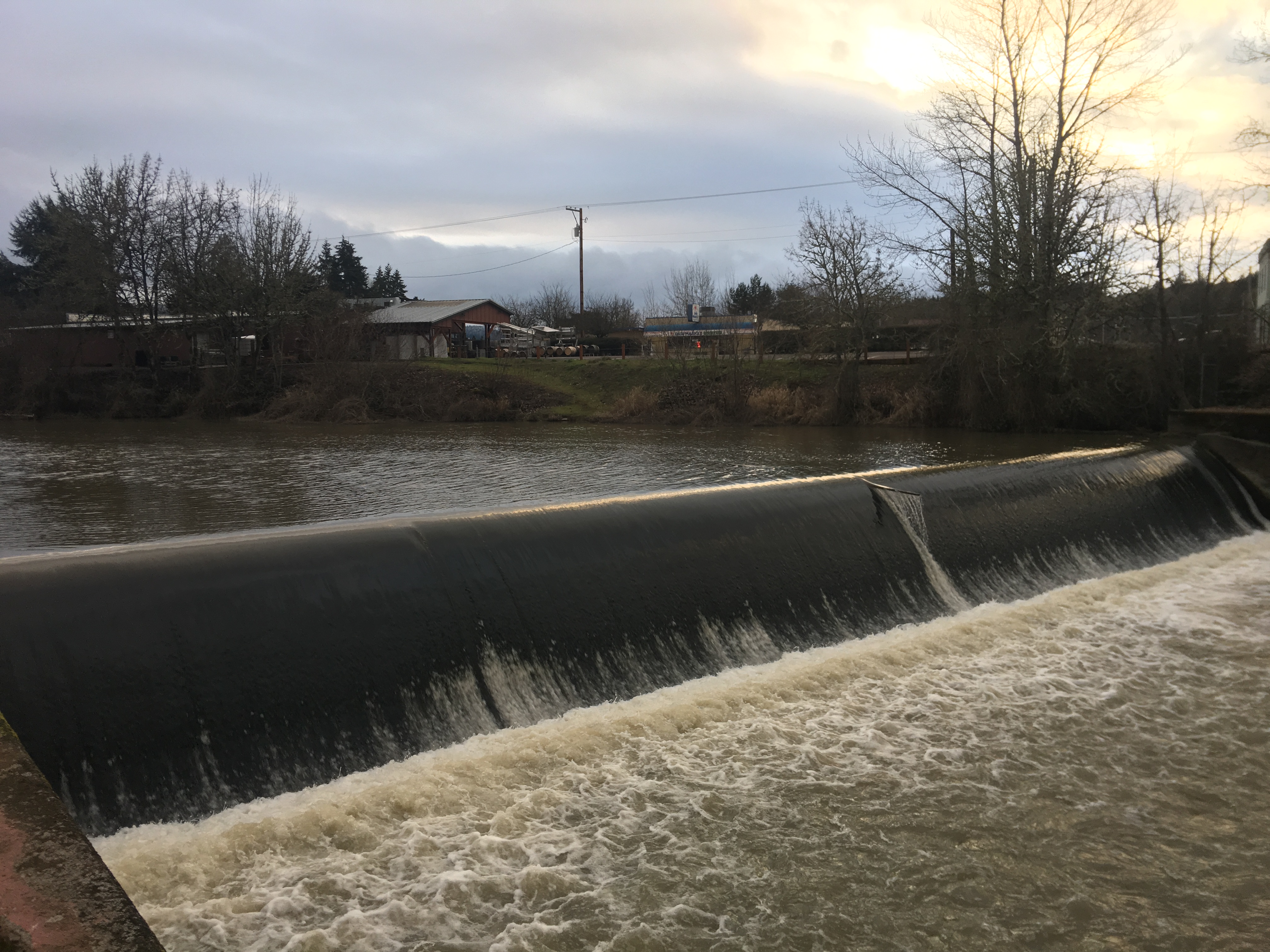 Long Tom Tributary