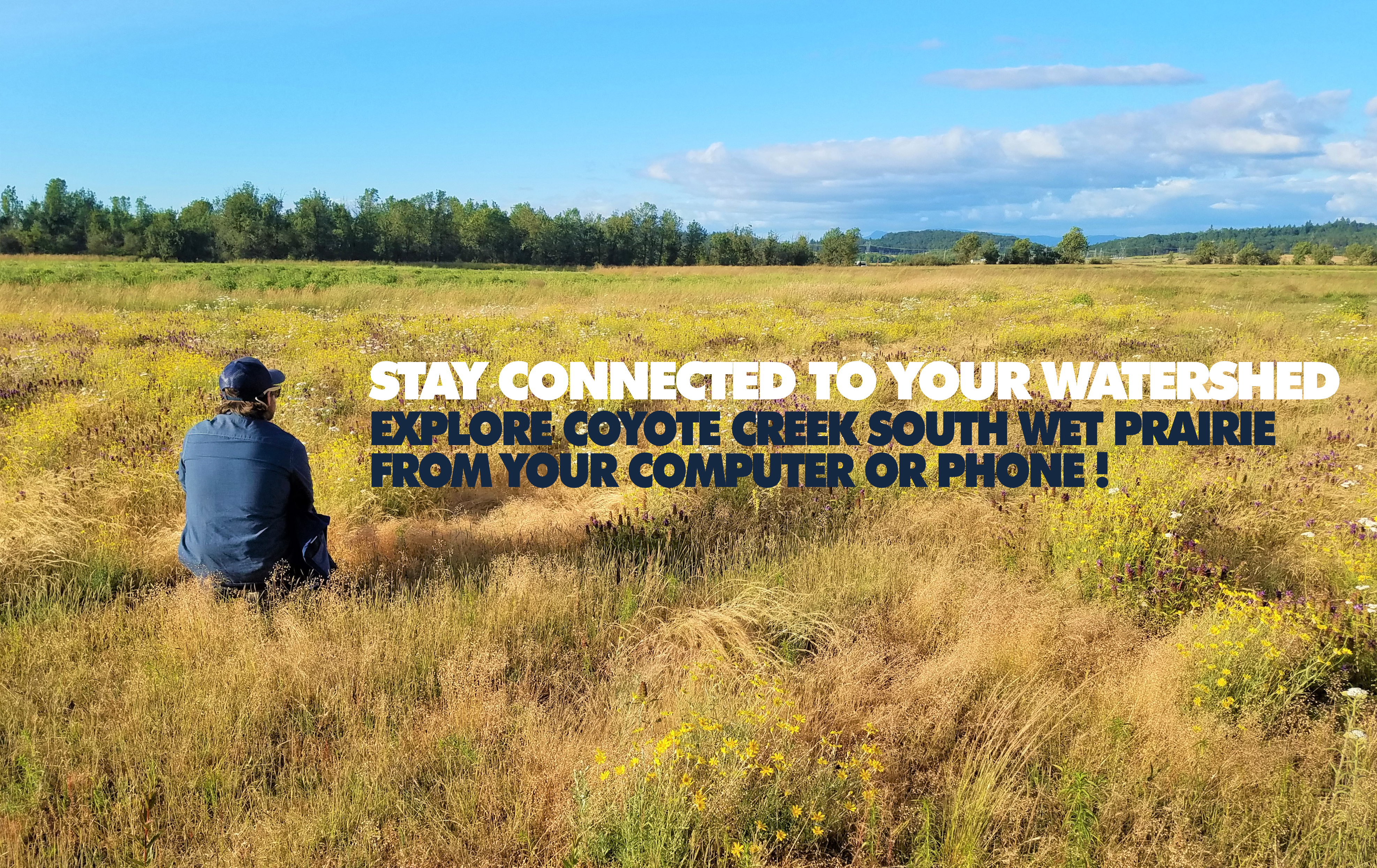 Coyote Creek South Wet Prairie