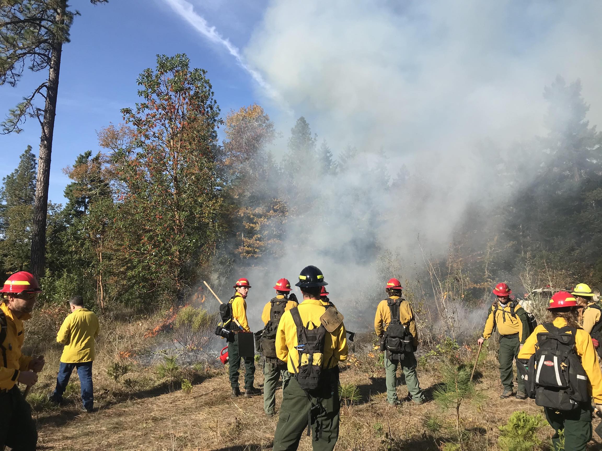 SOAK * Oregon Regional Burn