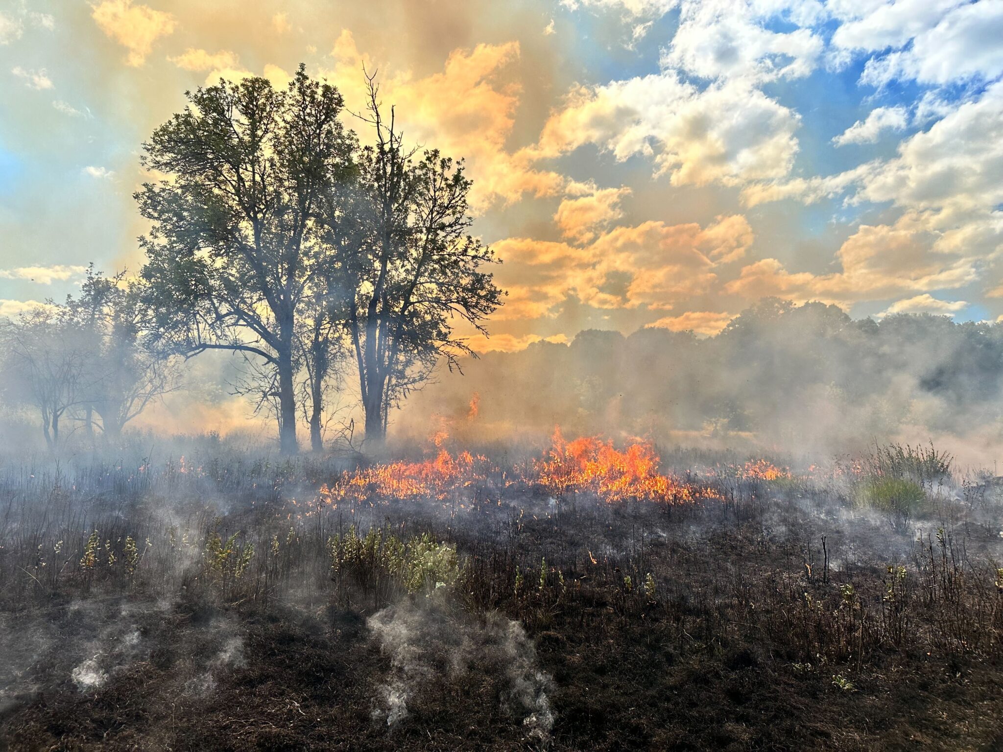 2024 Fall Fire Season | Long Tom Watershed Council